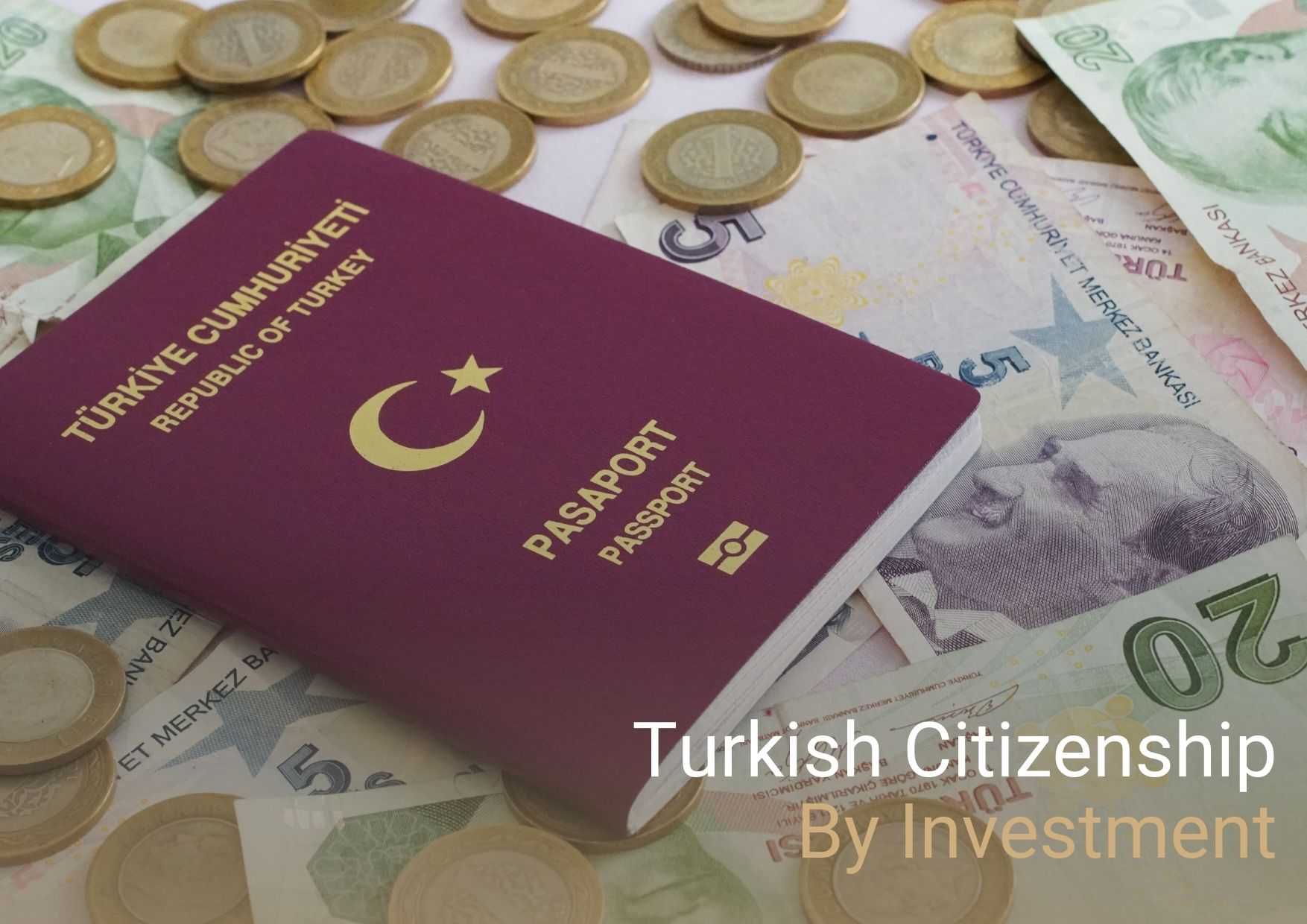 /wp-content/uploads/2024/01/turkish-citizenship-by-investment.jpg